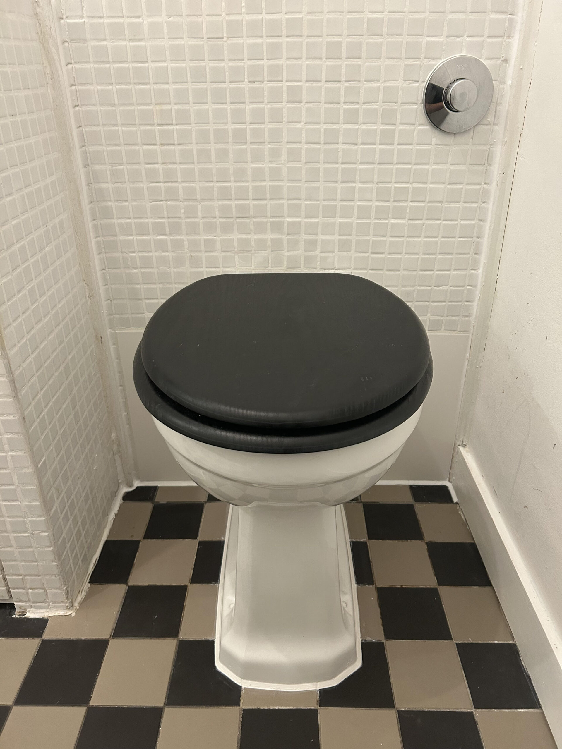 Traditional toilet installation with mosaic tiling